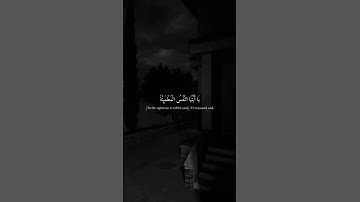 سورة الفجر... {يَقُولُ يا لَيْتَنِي قَدَّمْتُ لِحَيَاتِي}
