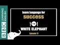 The White Elephant: 11 - Phrases about success