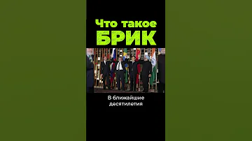 Что объединяет Россию, Китай, Бразилию и Индию? #shorts