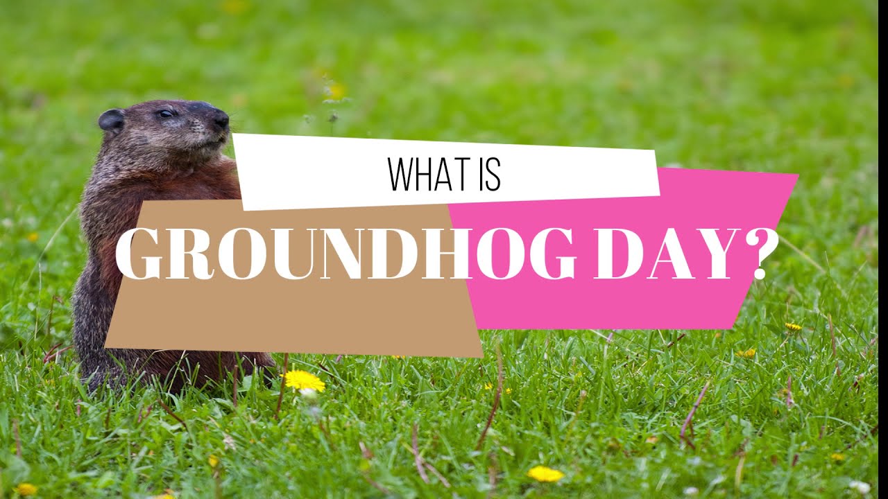 What is Groundhog day Explained Why is Groundhog day celebrated 