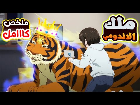 بنت مفلسة بتلاقى شغل فى محل اندومى كل الى شغالين في قطط ونمور ملخص انمي كامل