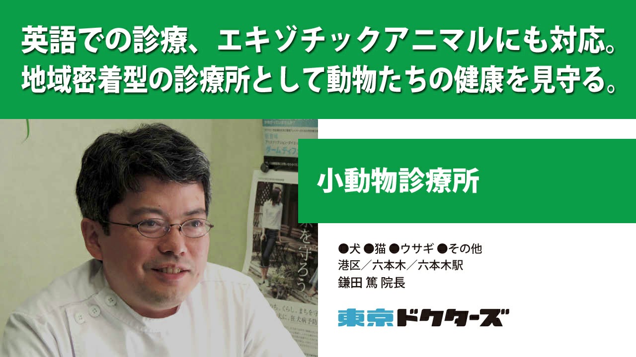 英語での診療 エキゾチックアニマルにも対応 地域密着型の診療所として動物たちの健康を見守る 小動物診療所 鎌田 篤 院長 Youtube