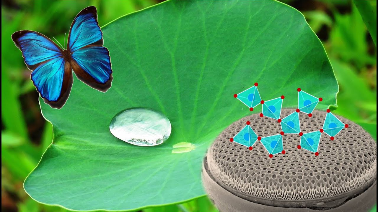 Chimie biomimétique et chimie bio-inspirée