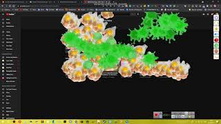 I Threw Other Stuff In Riley Bug