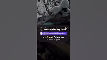 قرآن كريم بصوت القارئ احمد حمادي تلاوة هادئة  💚🌿 حالات واتس اب / ستوريات قرآن | Quran status
