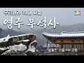 우리나라 10대 사찰, 소복히 쌓은 눈 속 아름다운 영주 부석사 보고 가세요~❄️
