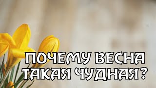 ПОЧЕМУ ВЕСНА ТАКАЯ ЧУДНАЯ - ДЕТСКАЯ ПЕСНЯ НА ПАСХУ