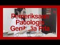 VIDEO PANDUAN OSCE SEMESTER 4: Pemeriksaan Patologis Genitalia Pria