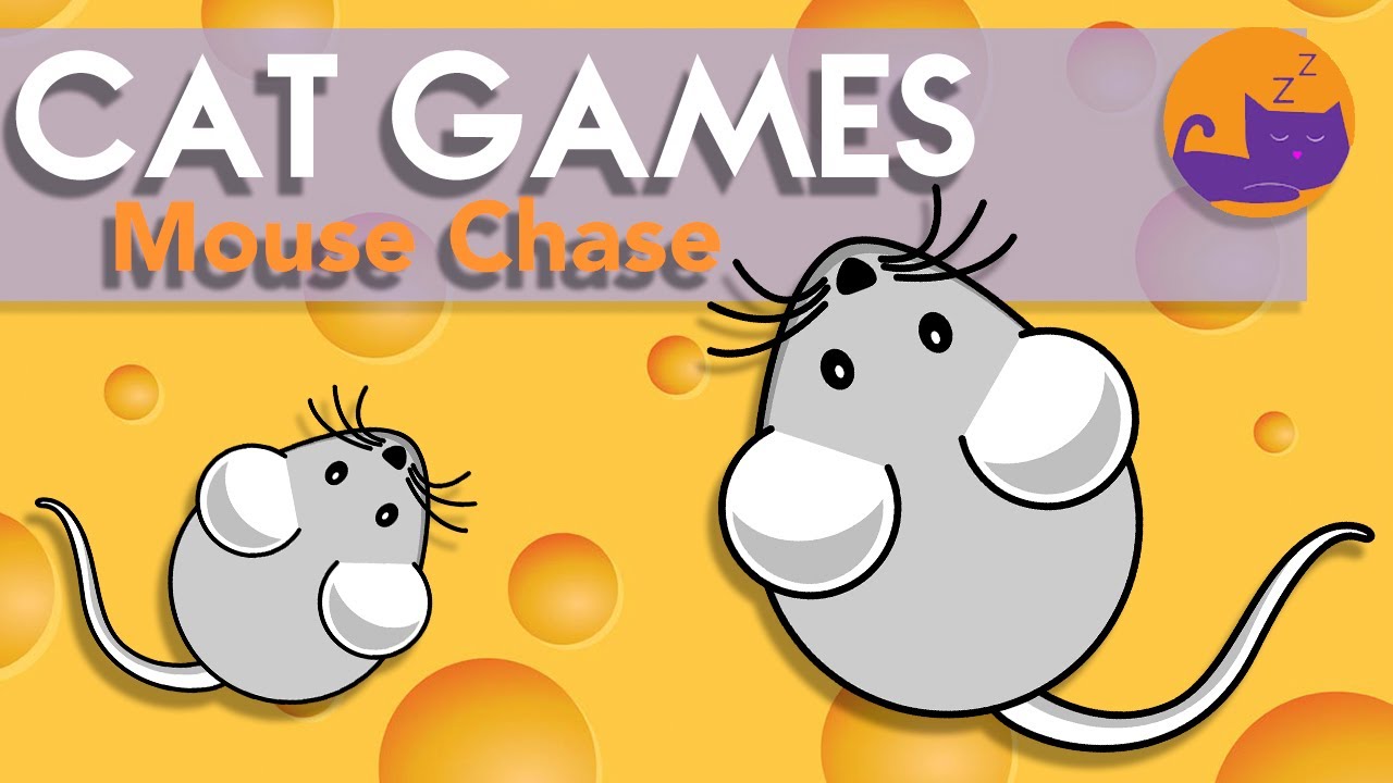 Cat Games Mouse Catch Mice Chase Entertainment For Cats YouTube