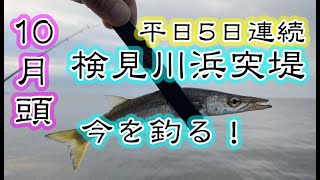 【釣り編】 検見川浜突堤。平日5日連続の釣果結果! 【釣り編】 検見川浜突堤。平日5日連続の釣果結果!