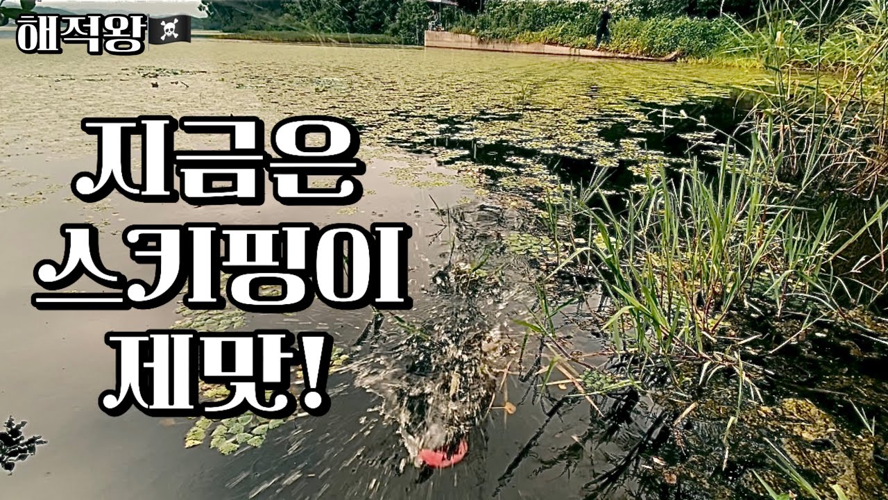 폭염이니 물수제비로 에어컨 파워냉방을 틀어드리겠습니다. #스키핑 #다이와 (4K VIDEO HDR)