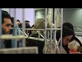 Social Media Videos Of Koroush Cinema Complex For Fajr International Film Festival Tehran Iran 
