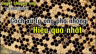Một video xử lý tất tần tật bệnh ở ong #cách quay mật ong