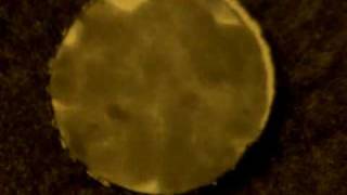 phyosci-20100317-3.2mm.avi