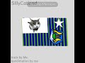 flag band - SillyCatland