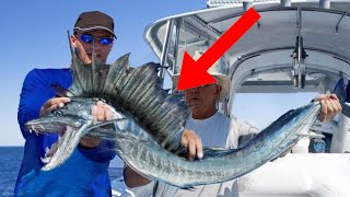 11 Most Bizarre Creatures Recently Caught At Sea
