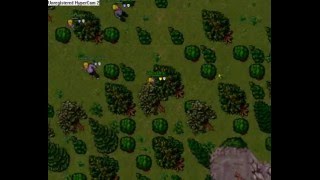 Selena Team PK