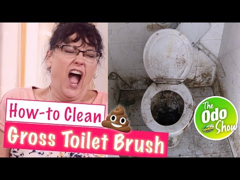 How to Clean A Gross Toilet Brush (2020)