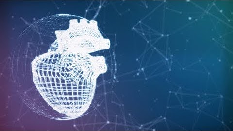 Human Heart Plexus Loop Background | Motion Graphics - Videohive template