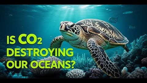 Ocean Acidification: The Other CO2 Problem