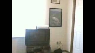 Generic Youtube Video Editor Compliation of Compiled