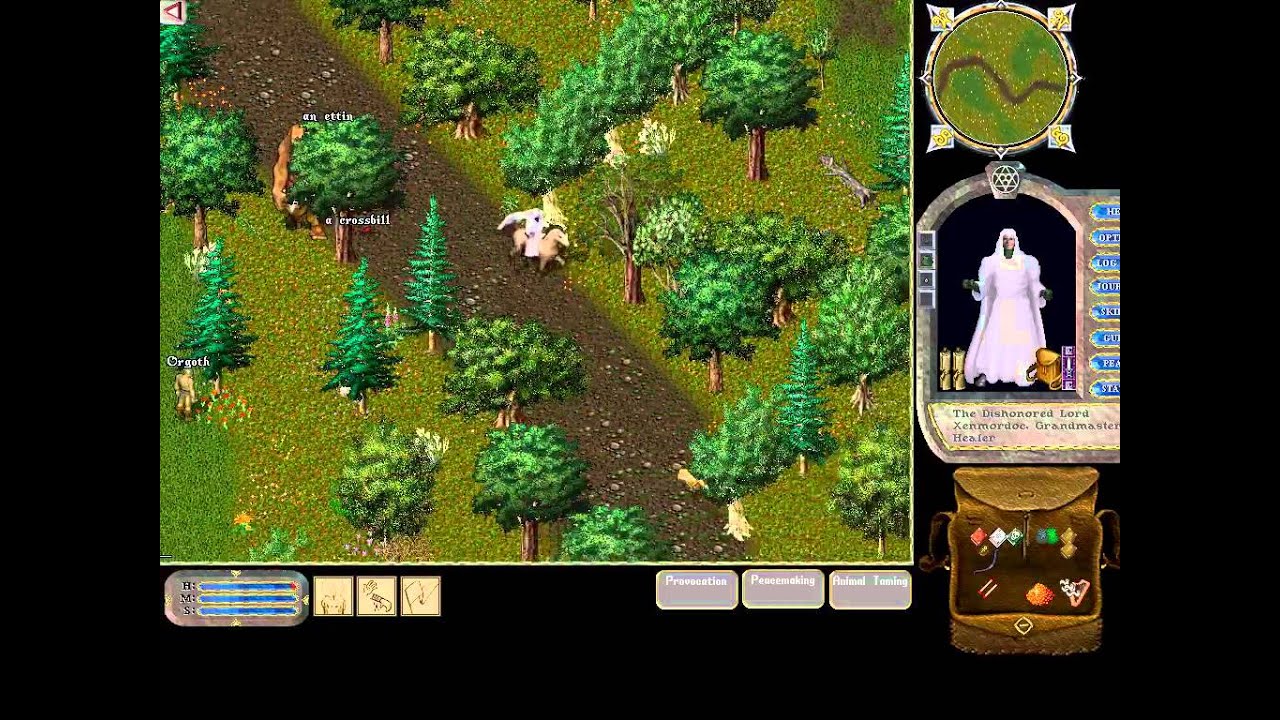 Ultima Online 156 Tamer Traveling to Solven Hive YouTube