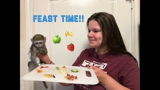 Baby monkey | Max’s food feast