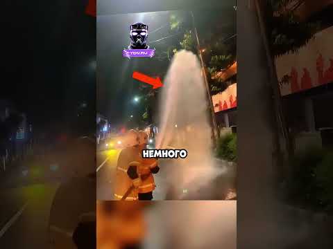Это самые храбрые люди в мире!