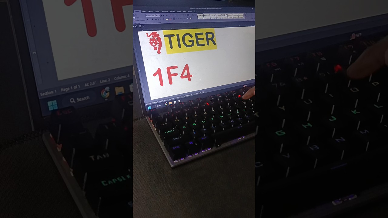 Tiger Symbol incon Shortcut Key's 
