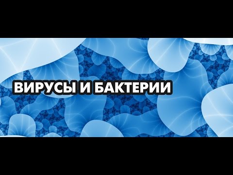 Вирусы и бактерии. Иммунная система. Доктор, диетолог Борис Скачко блогер