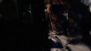 Jaydes - entry log (remastered)