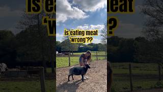 is it ‘wrong’ to eat meat??? 🤔
