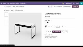 NMI Payment Integration - Multipl Website Support Odoo