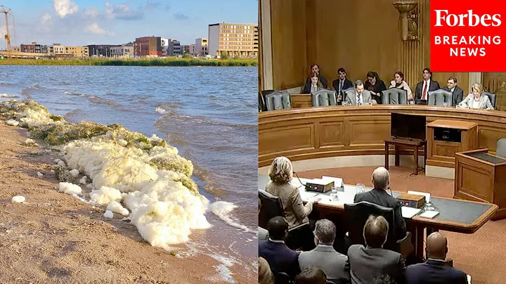 Senate Environment Committee Holds Hearing To Review PFAS Cleanup And Disposal Policies