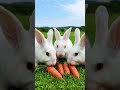 #rabbit #funny #ai #cat #trending #cute #viral #animals #love #cow #funnycomment #funniestvideo