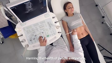 Curtain Raiser Minamata COP