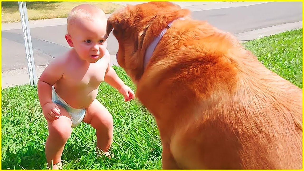 ⁣Best video of Cute Babies and Pets - Funny Baby and Pet