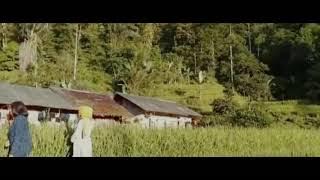 Cinematic alam Curug Cikoneng || Lewiliang Bogor ||