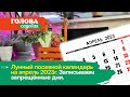 Голова садовая - Лунный посевной календарь на апрель 2023. Записываем запрещённые дни