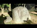 植木一筋４２年 古墳時代から引き継がれる錦鯉　令和秋翠今日も現れず仁徳天皇陵古墳お堀に生息する錦鯉令和ＲＥＩＷＡの姫宮ＨＩＭＥＮＯＭＩＹＡ令和紅白 れいわこうはく令和秋翠 れいわしゅうすい庭師　武笠均