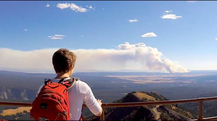 Mount Washburn - Yellowstone National Park