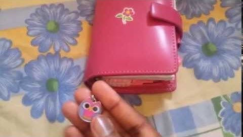 Filofax Mini Metropol Set Up As A Wallet