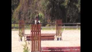 Eagle Creeks Expresso 1212