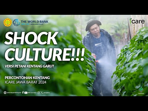 SHOCK CULTURE!!! Versi