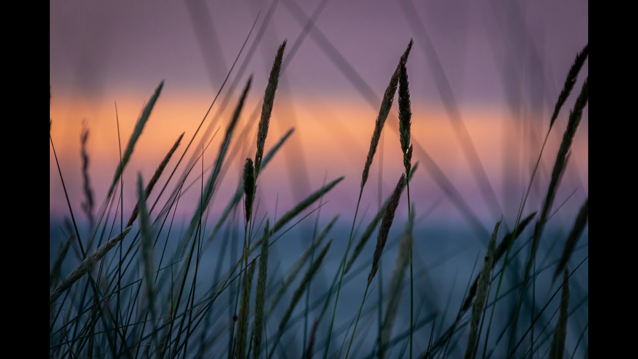 Viisikielinen 106 Sinä tunnet minut