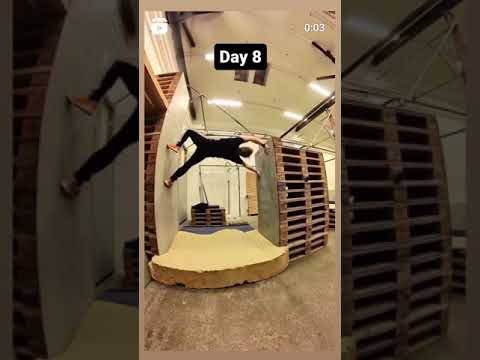 MoveEveryDay - Bjarke Hellden