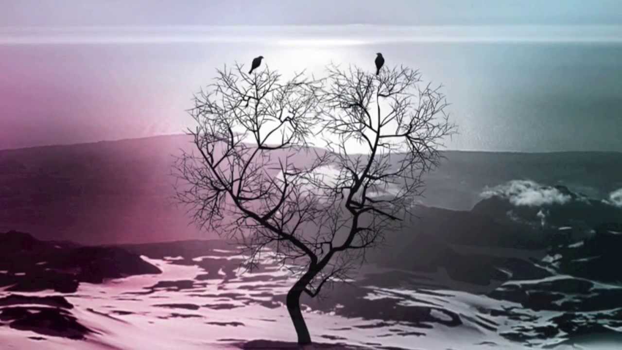 Schattenherz - 01. Das Leben ist schön (Official Snippet)