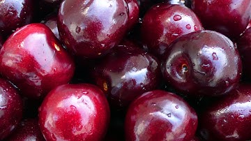 How Raynbow sorts Cherries | RAYTEC VISION SpA