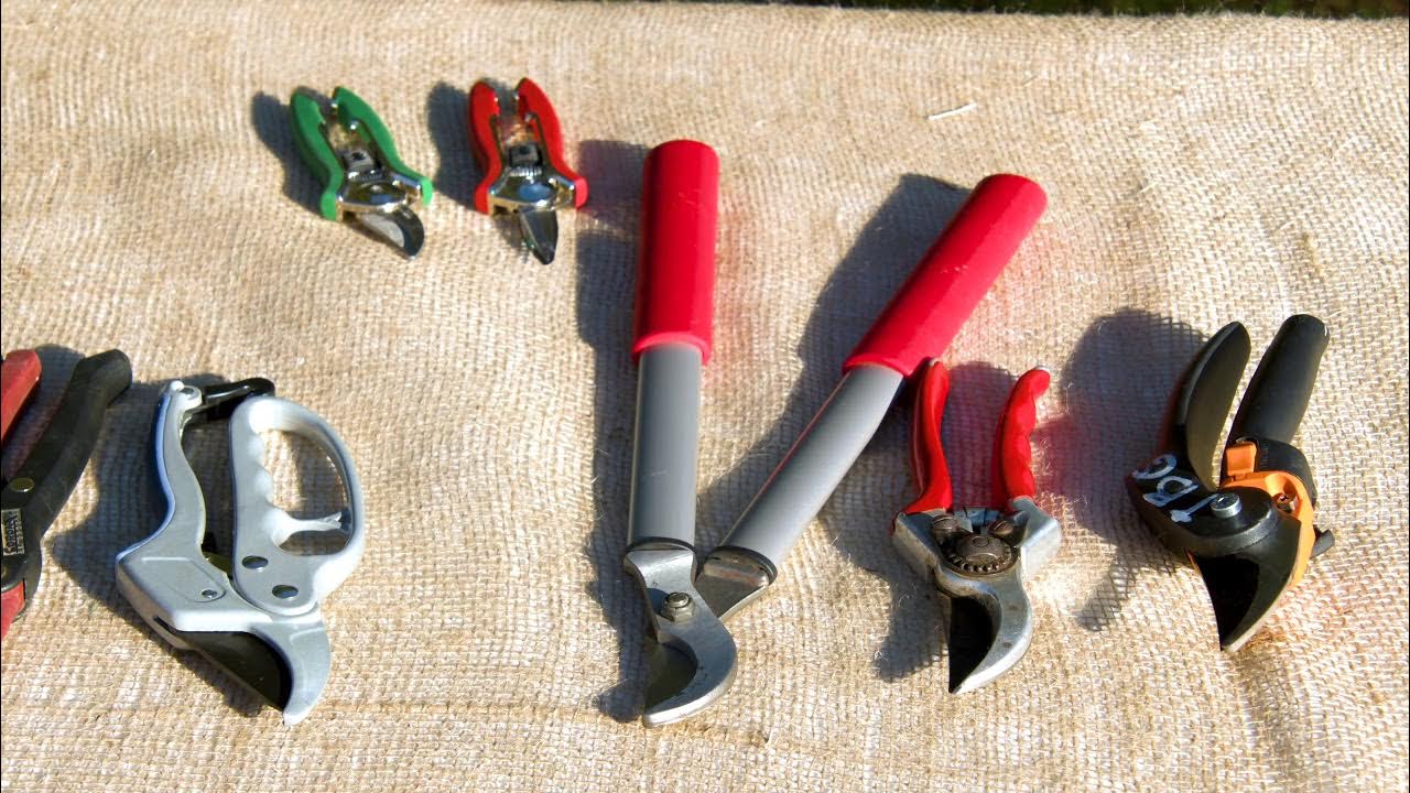 Bypass vs Anvil Pruners YouTube