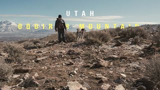 Hiking Oquirrh Mountains With A Husky - Relaxing Hiking Video by Onyx The Husky 131 views 2 years ago 8 minutes, 32 seconds